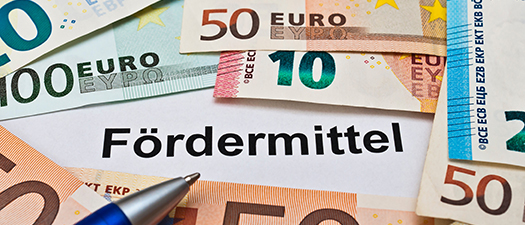 Symbolfoto: Geldscheine und in der Mitte steht das Wort Fördermittel