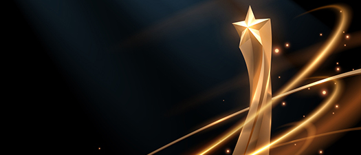 Auf dem Foto ist in Gold eine Trophäe auf schwarzem Hintergrund zu sehen.